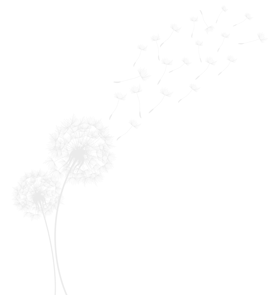 Image représentant une ombre de deux fleurs de pissenlit avec leur pollen s'envolant au vent